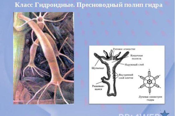 Кракен онион зеркало