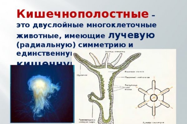 Короткая ссылка на кракен